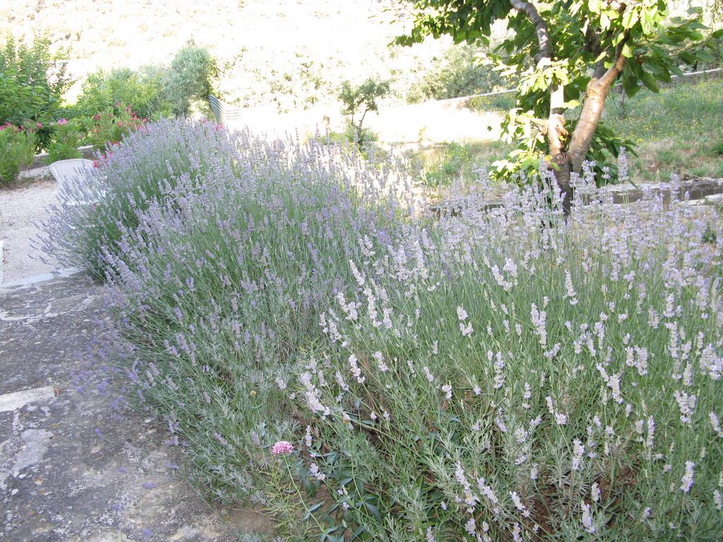 Logis Hotel Restaurant Les Geraniums Le Barroux Dış mekan fotoğraf